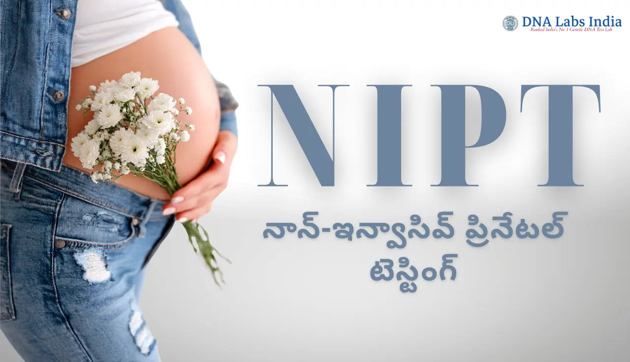 NIPT (Non-Invasive Prenatal Testing): A Comprehensive Guide